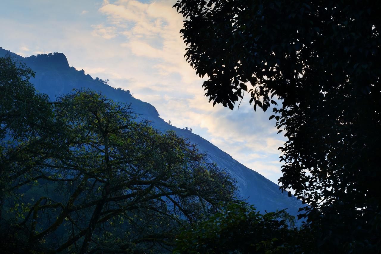 Madhumanthra Resort - Homestay Munnar Exterior foto