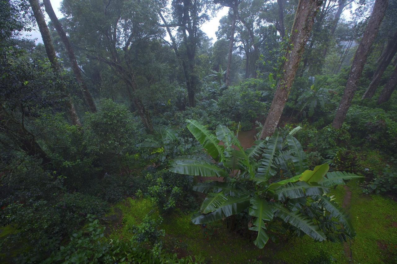 Madhumanthra Resort - Homestay Munnar Exterior foto